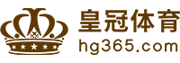 Logo 诺亚娱乐体育